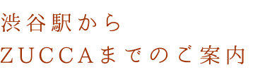 渋谷駅からZUCCAまでのご案内
